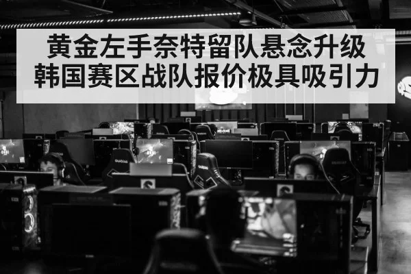 黄金左手奈特留队悬念升级 韩国赛区战队报价极具吸引力